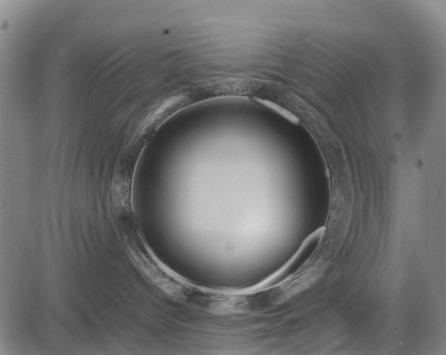 X0000083620096200702201327