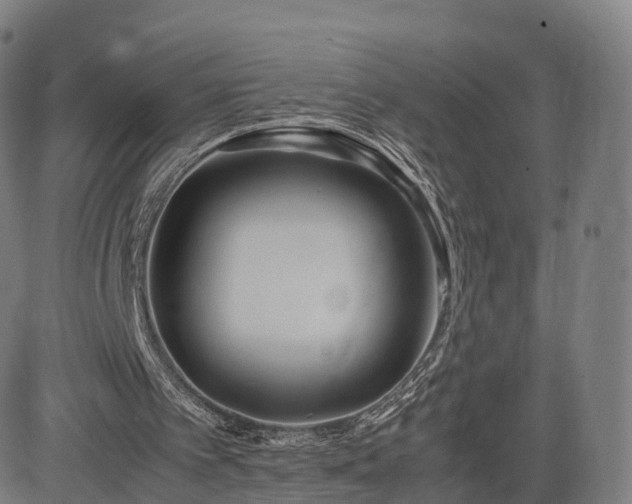 X0000083620097200702201326