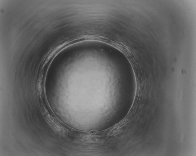 X0000083620098200702201326