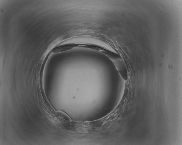 X0000083620099200702201326