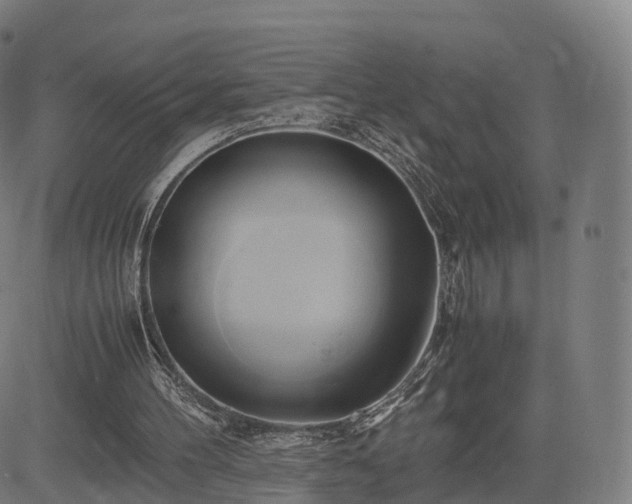 X0000083620100200702201326