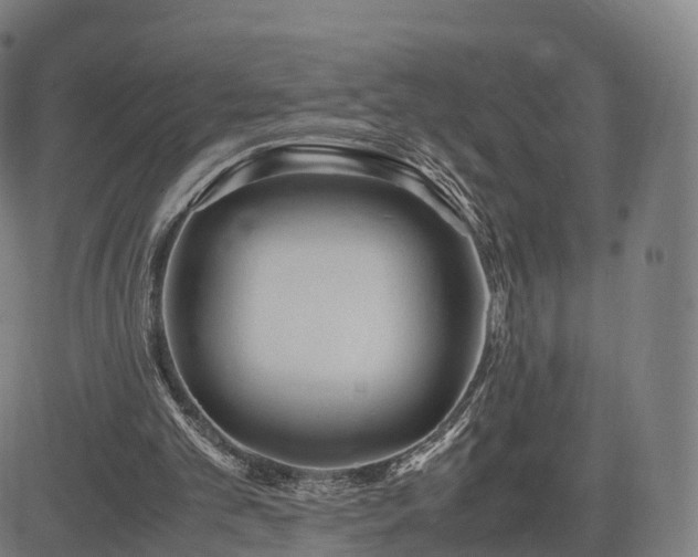 X0000083620101200702201326