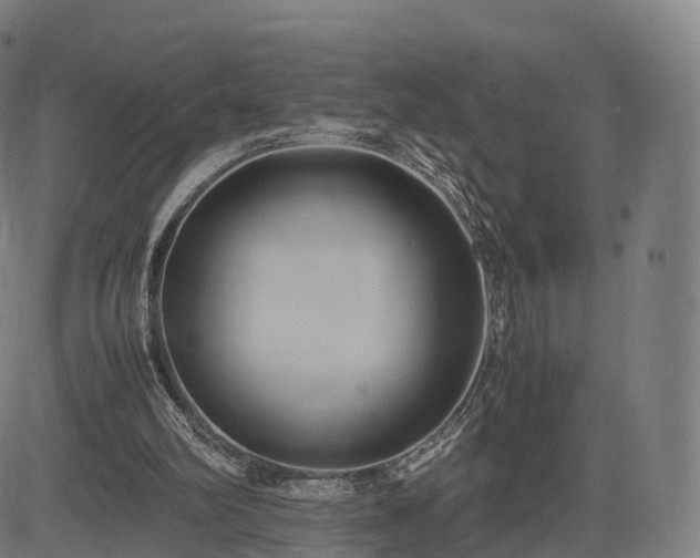 X0000083620102200702201326