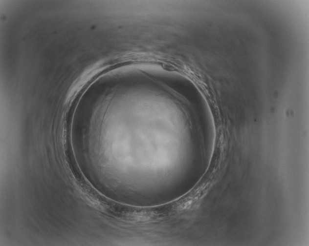 X0000083620103200702201326