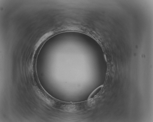 X0000083620104200702201326