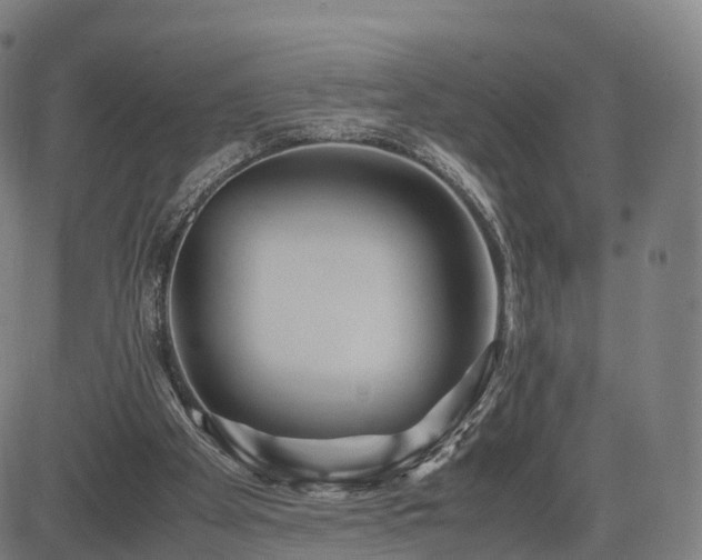 X0000083620105200702201326