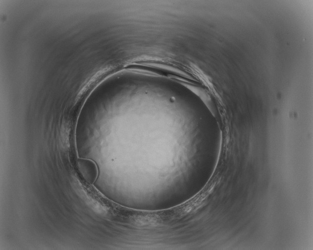 X0000083620106200702201326