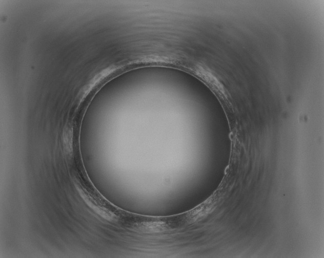 X0000083620108200702201326