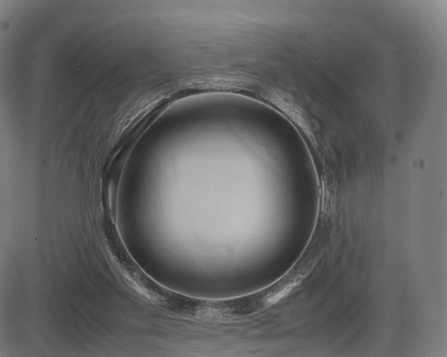 X0000083620109200702201326