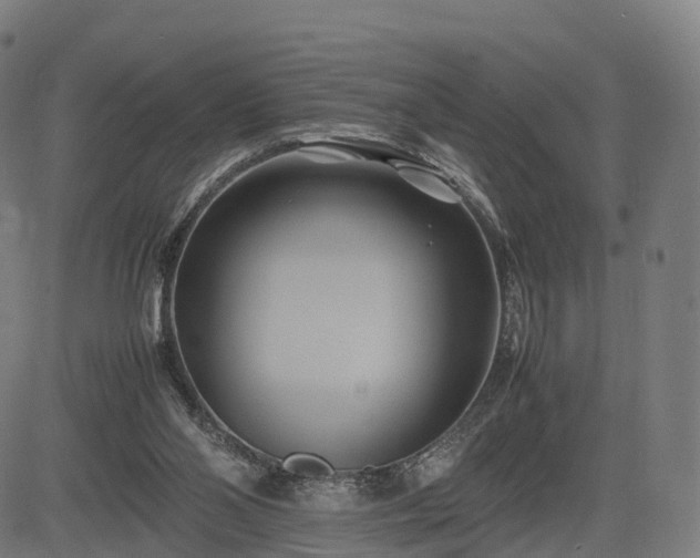 X0000083620110200702201326