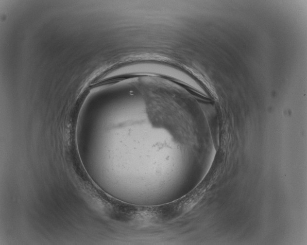 X0000083620111200702201326