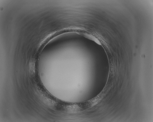 X0000083620112200702201326