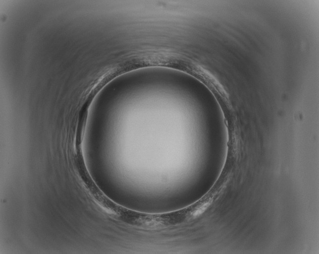 X0000083620113200702201326