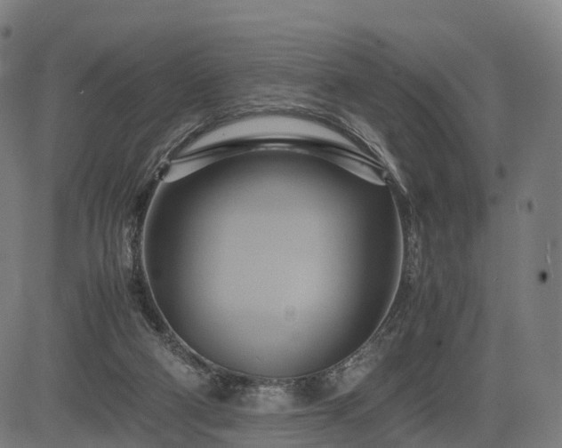 X0000083620114200702201326