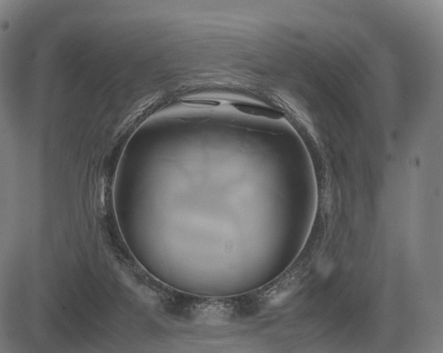 X0000083620115200702201326