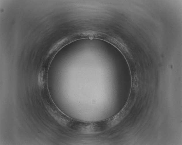 X0000083620116200702201326