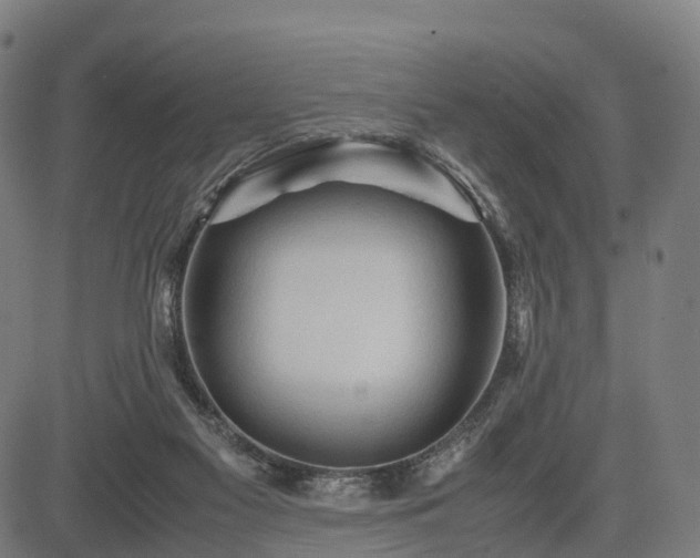 X0000083620117200702201326