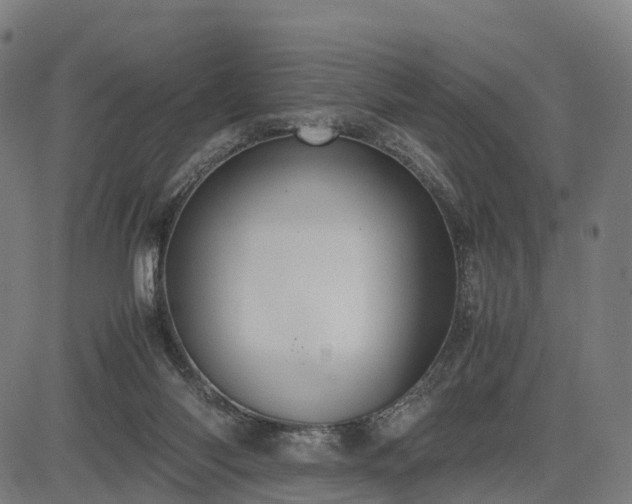 X0000083620118200702201326