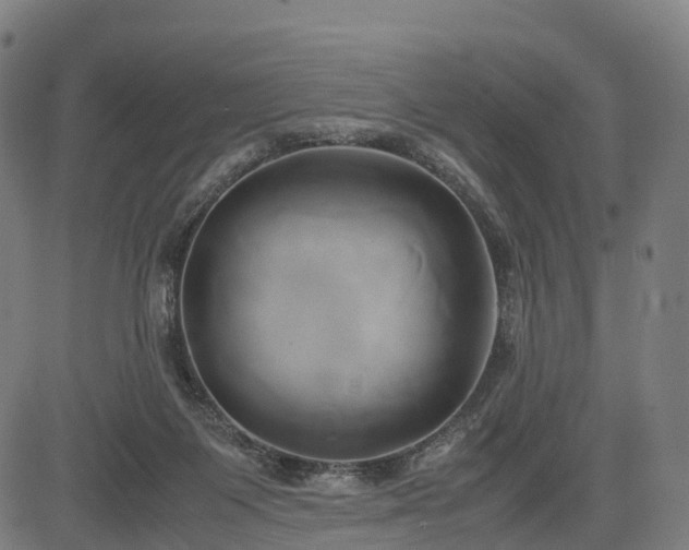 X0000083620119200702201326