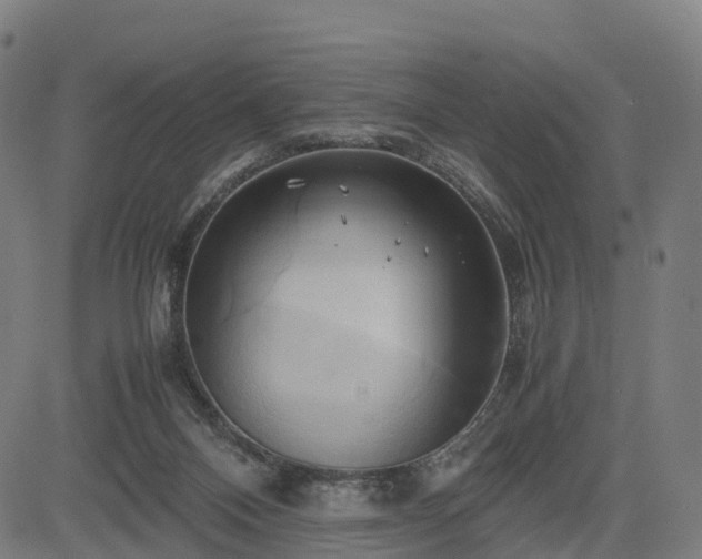 X0000083620120200702201326