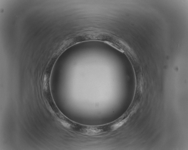 X0000083620121200702201326