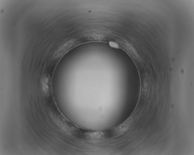 X0000083620122200702201326