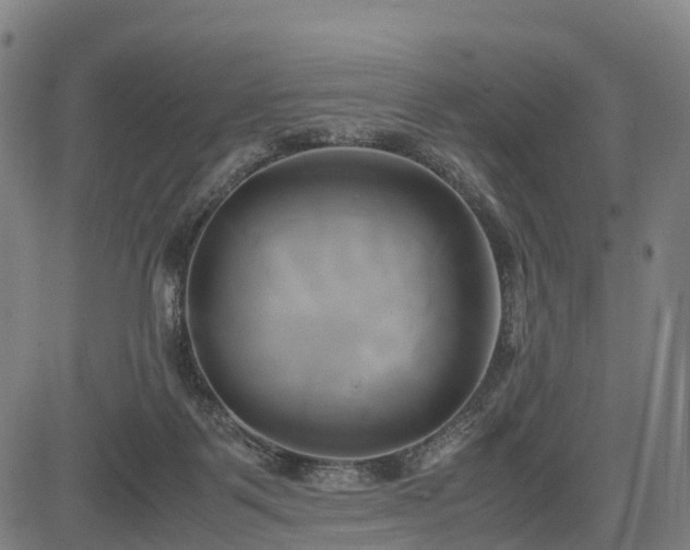 X0000083620123200702201326