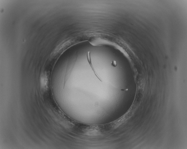 X0000083620124200702201326