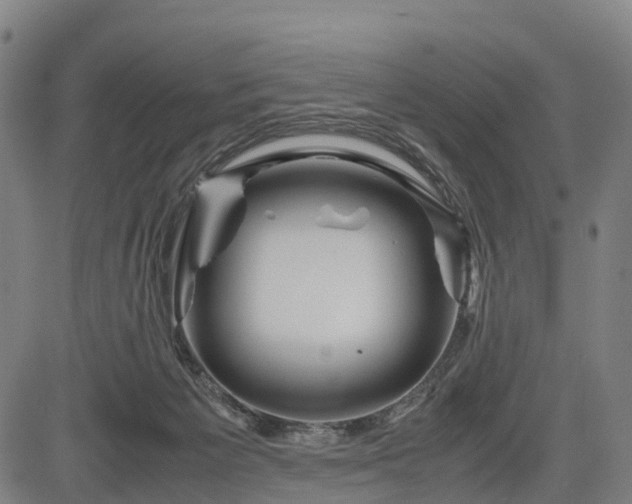 X0000083620125200702201326