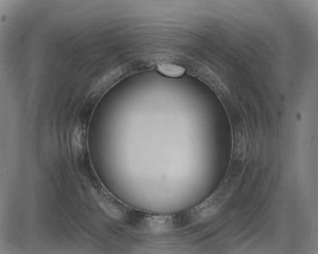 X0000083620126200702201326