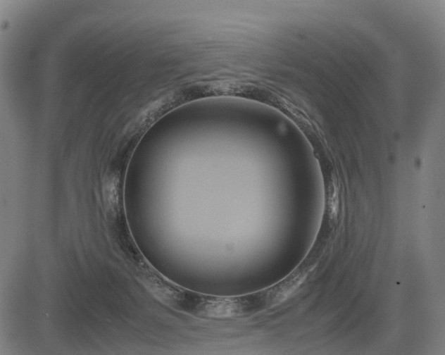 X0000083620127200702201326