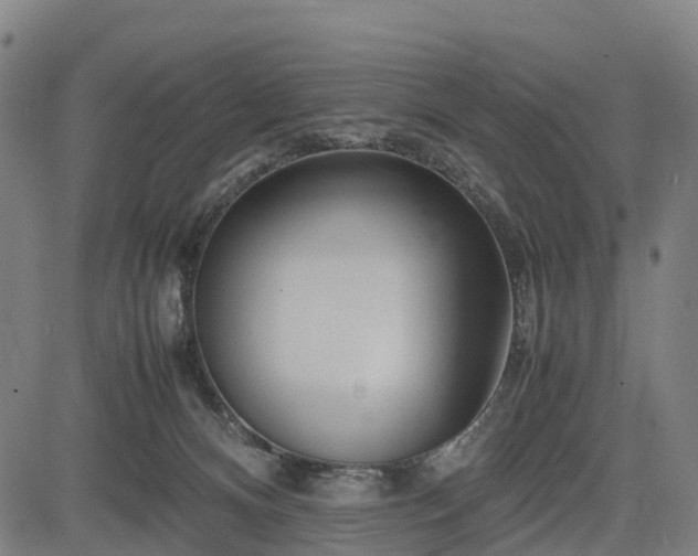 X0000083620128200702201326