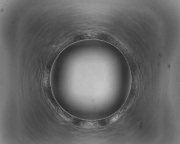 X0000083620129200702201326