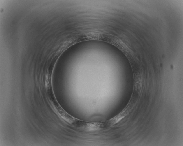 X0000083620130200702201326