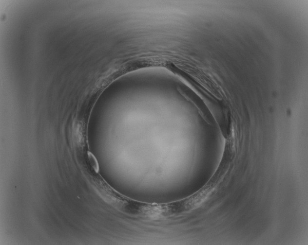 X0000083620131200702201326