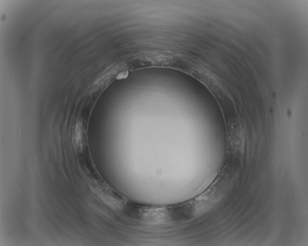 X0000083620132200702201326