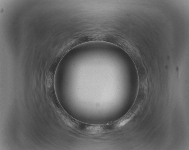 X0000083620133200702201326