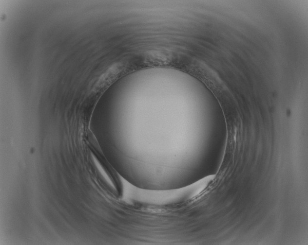 X0000083620134200702201326