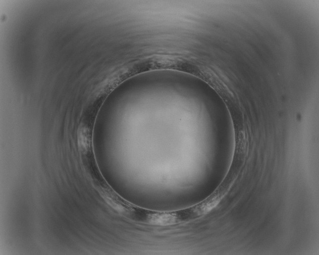 X0000083620135200702201326