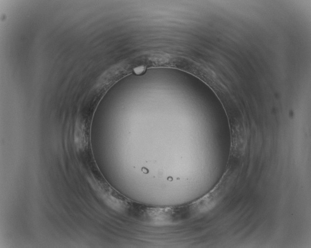 X0000083620136200702201326