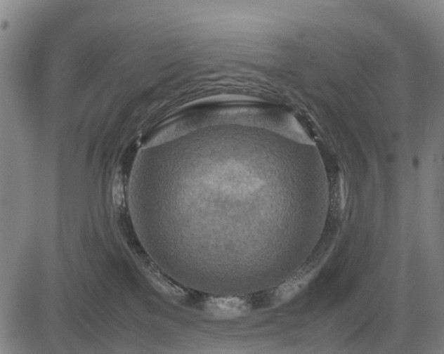 X0000083620137200702201326