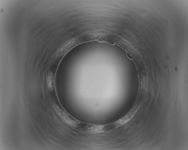 X0000083620138200702201326