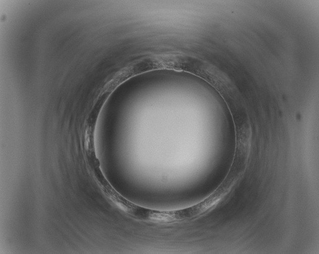 X0000083620139200702201326