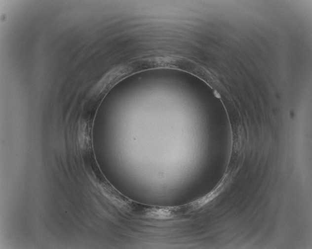 X0000083620140200702201326