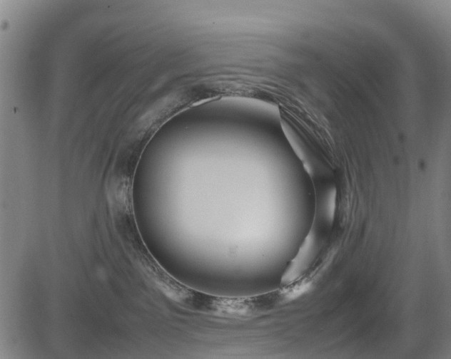 X0000083620141200702201326