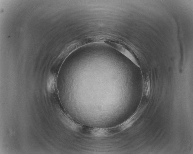 X0000083620142200702201326