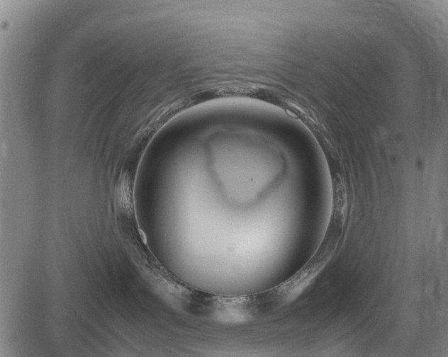 X0000083620143200702201326