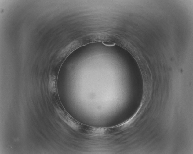 X0000083620144200702201326