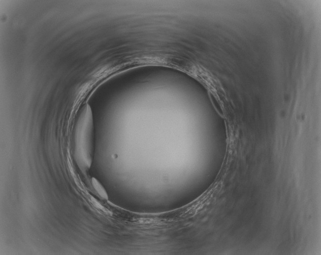 X0000083620145200702201325