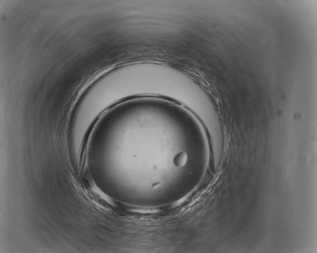 X0000083620146200702201325